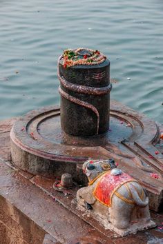 real shivling photo